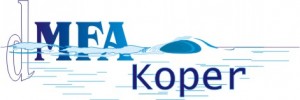 dmfakp-logo